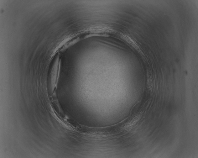 X0000062600530200601110945