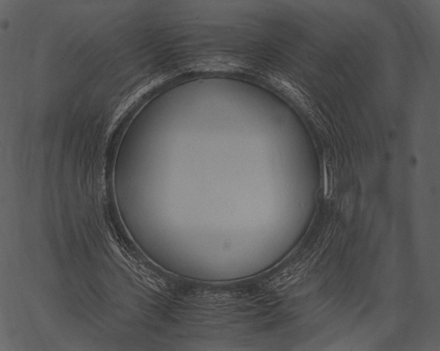 X0000062600531200601110945