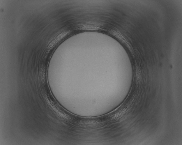 X0000062600533200601110945