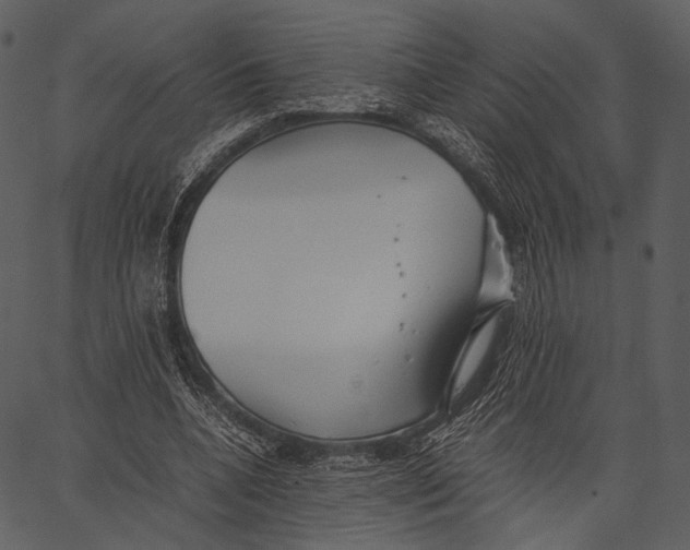 X0000062600536200601110945