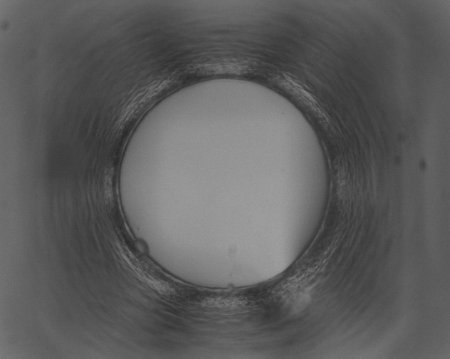 X0000062600537200601110945