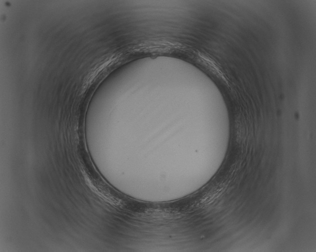 X0000062600538200601110945