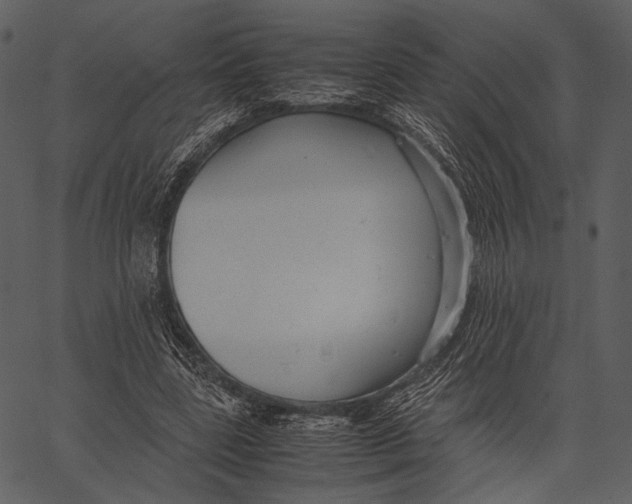 X0000062600539200601110945
