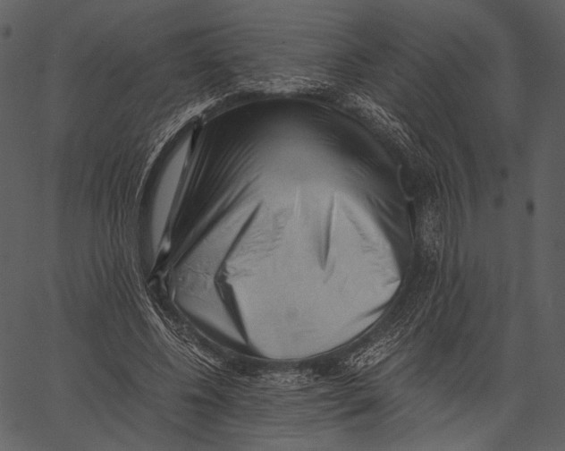 X0000062600540200601110945