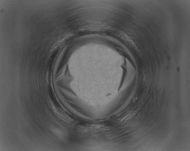 X0000062600542200601110945
