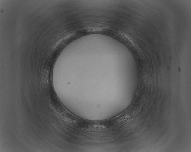 X0000062600543200601110945