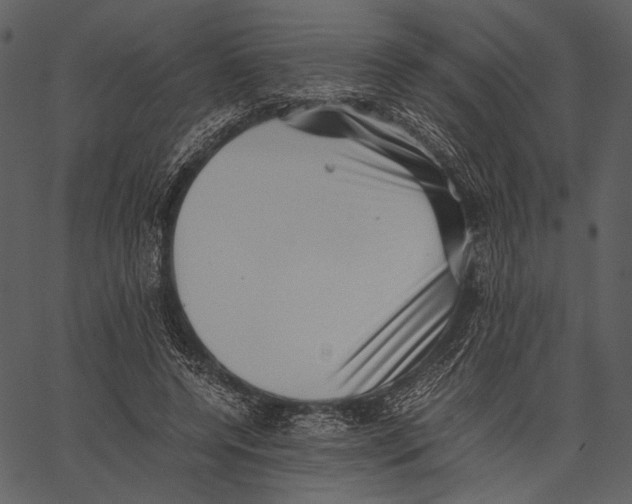 X0000062600544200601110945