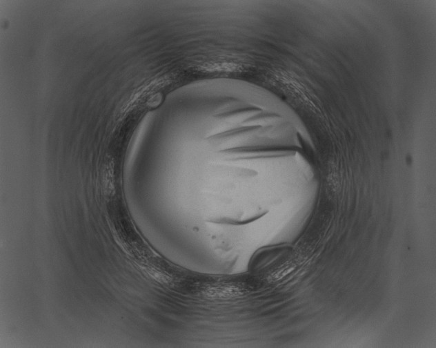 X0000062600547200601110945