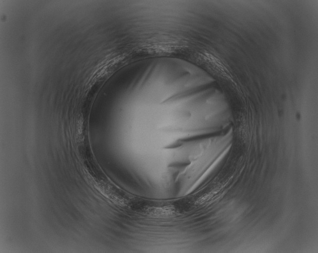 X0000062600548200601110945