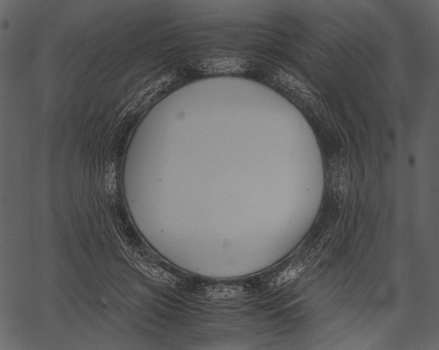X0000062600549200601110945