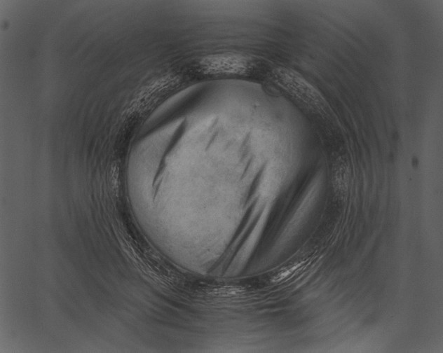 X0000062600551200601110945