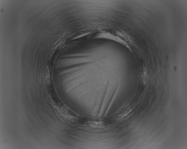 X0000062600552200601110945