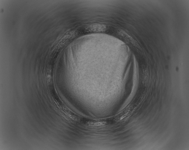 X0000062600553200601110945