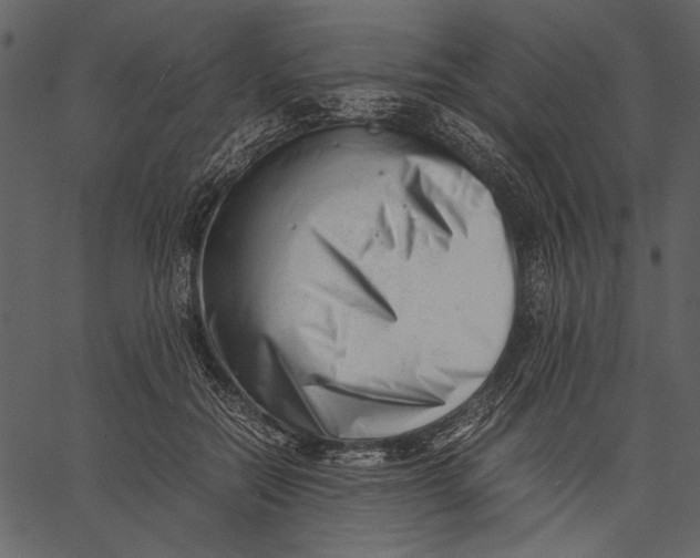 X0000062600554200601110945
