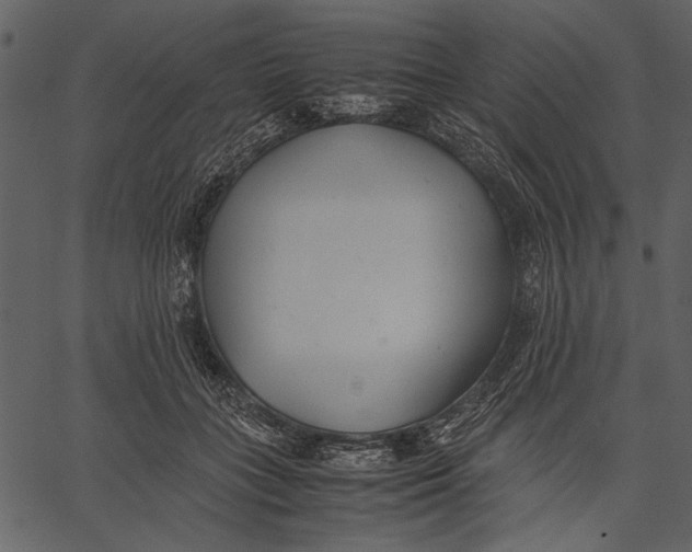 X0000062600555200601110945