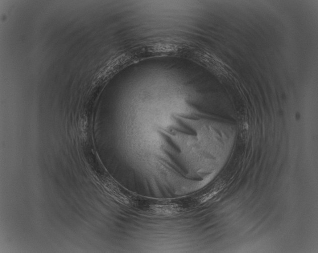 X0000062600556200601110945