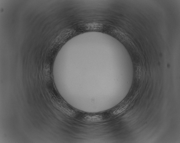 X0000062600557200601110945