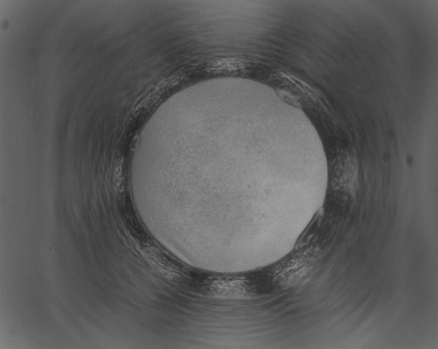 X0000062600560200601110945