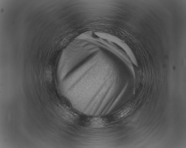 X0000062600562200601110945