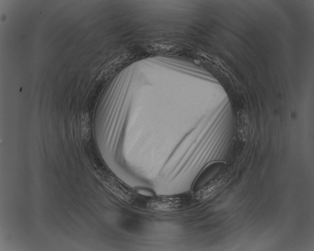 X0000062600563200601110945