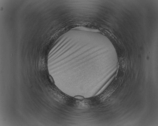 X0000062600564200601110945