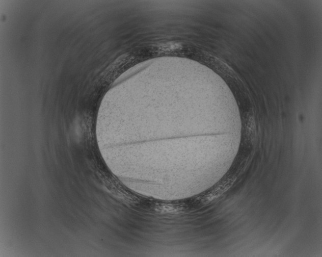 X0000062600565200601110945