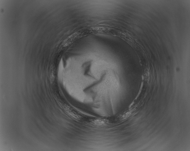X0000062600566200601110946