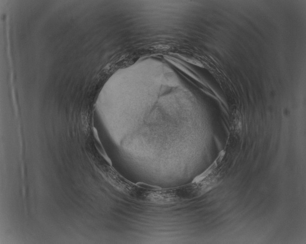X0000062600568200601110946
