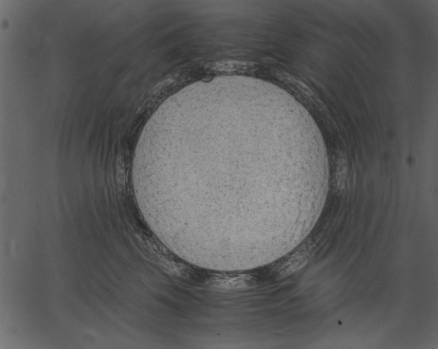 X0000062600569200601110946