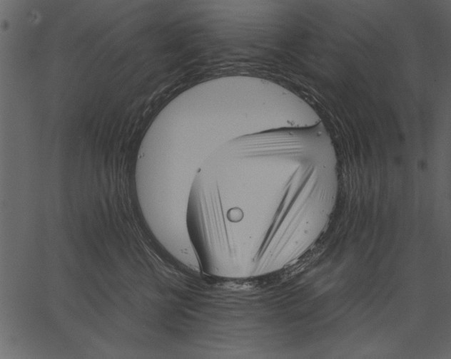 X0000062600570200601110946