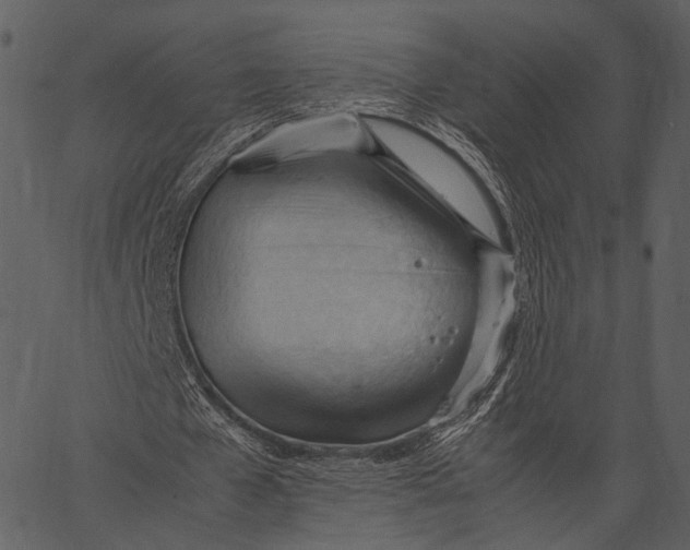 X0000062600577200601110945