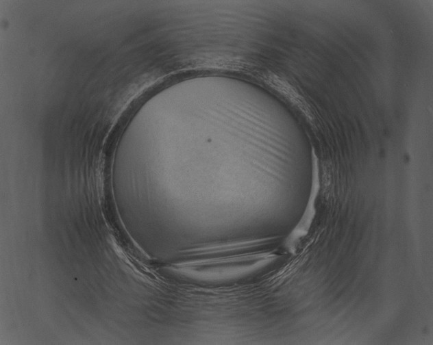 X0000062600580200601110945