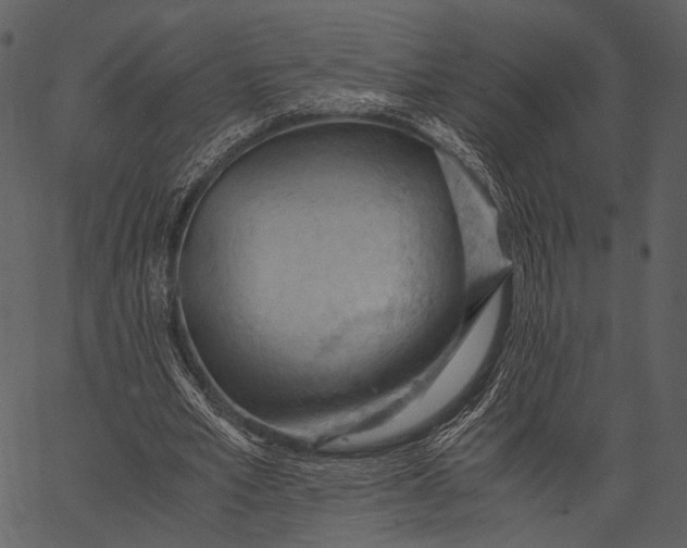 X0000062600581200601110945