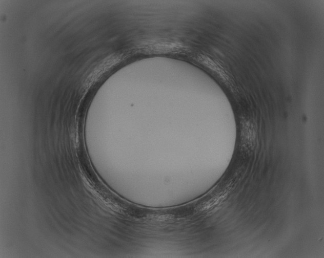 X0000062600582200601110945