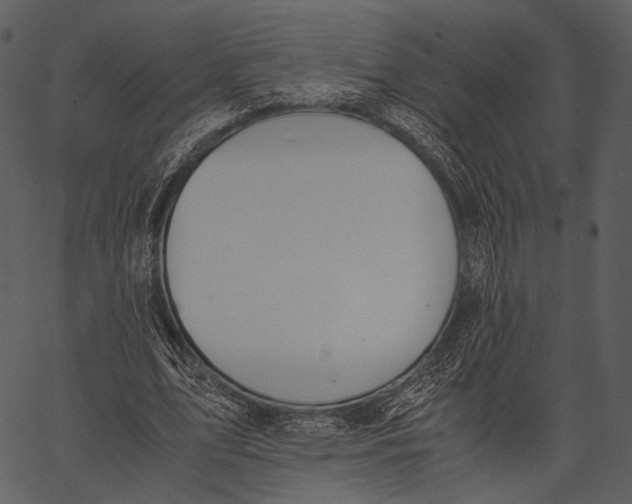 X0000062600583200601110945