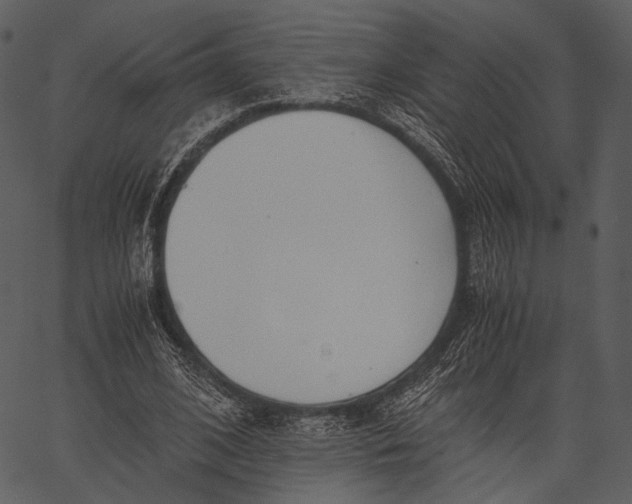 X0000062600584200601110945