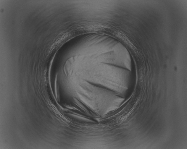 X0000062600585200601110945