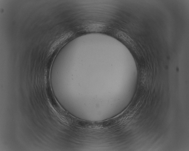 X0000062600586200601110945