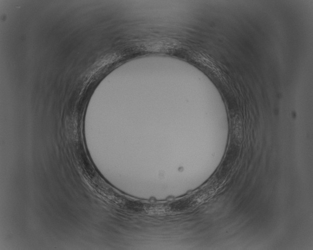 X0000062600587200601110945
