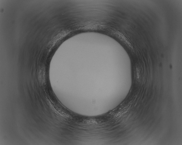 X0000062600588200601110945
