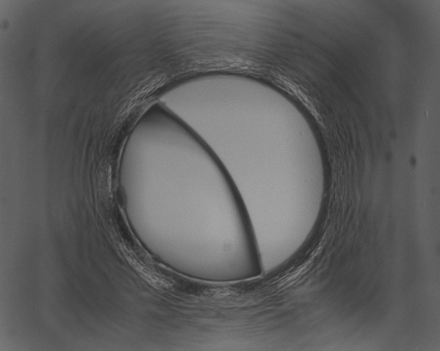 X0000062600589200601110945