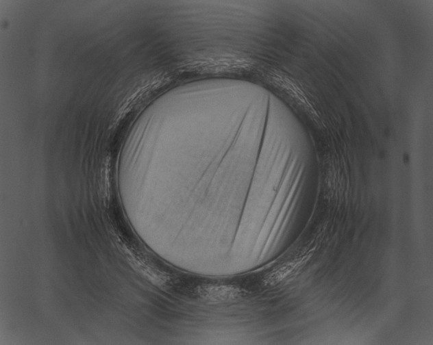 X0000062600590200601110945