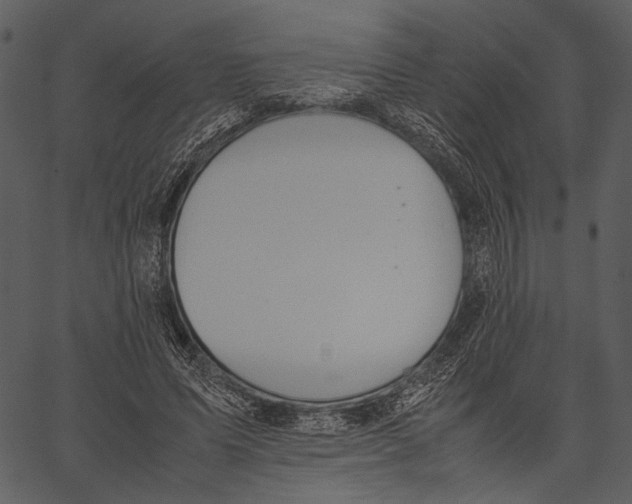 X0000062600591200601110945