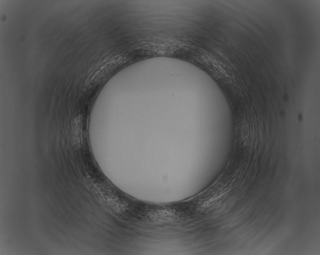 X0000062600594200601110945