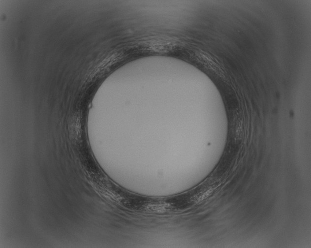 X0000062600595200601110945