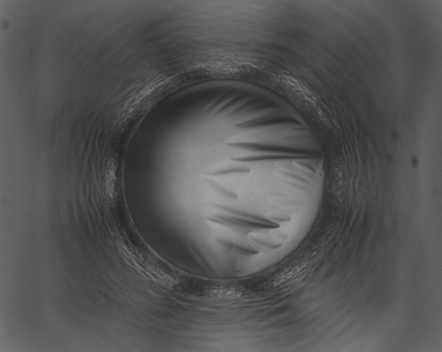 X0000062600596200601110945