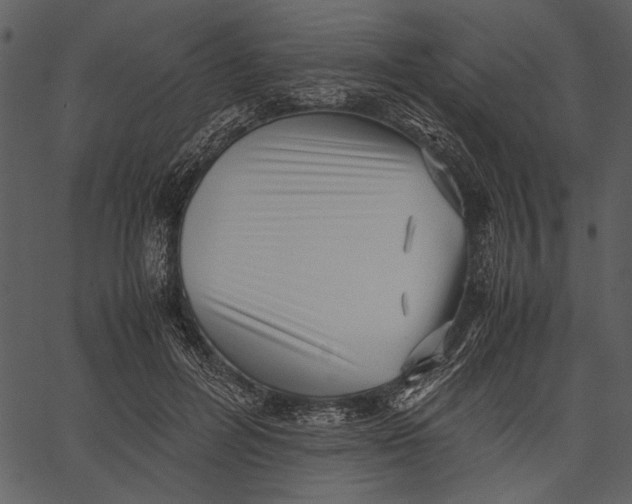 X0000062600600200601110944