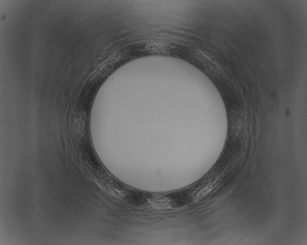 X0000062600603200601110944