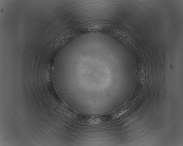 X0000062600604200601110944