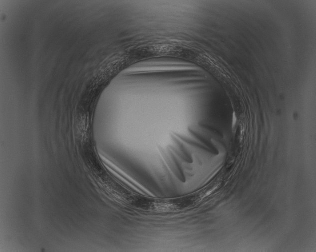 X0000062600605200601110944